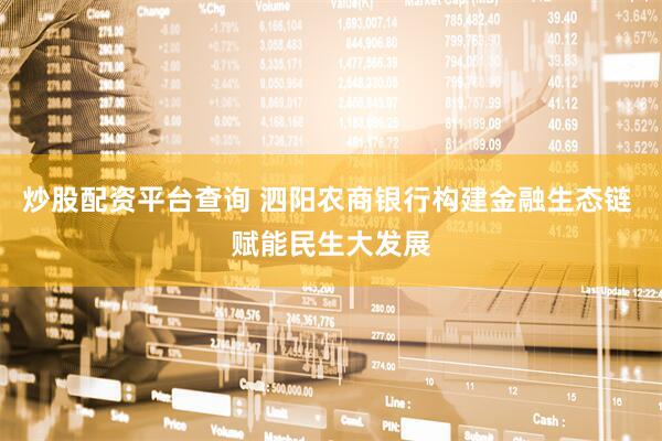 炒股配资平台查询 泗阳农商银行构建金融生态链 赋能民生大发展