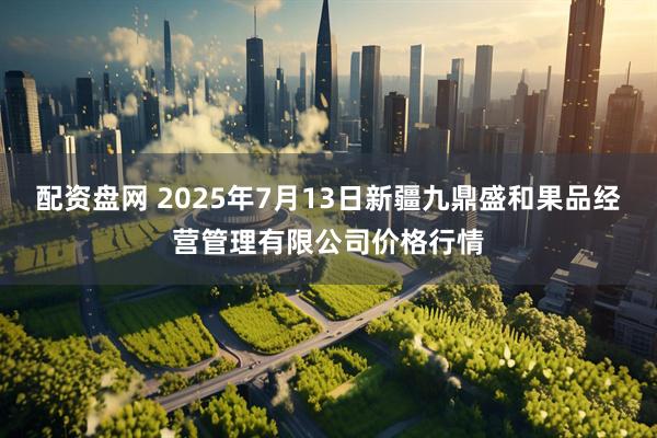 配资盘网 2025年7月13日新疆九鼎盛和果品经营管理有限公司价格行情