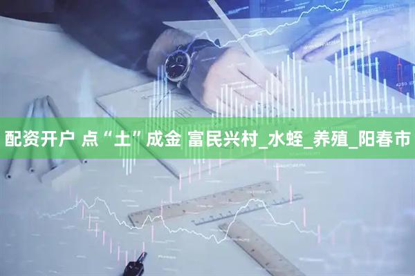 配资开户 点“土”成金 富民兴村_水蛭_养殖_阳春市