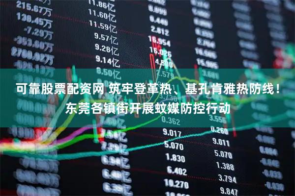 可靠股票配资网 筑牢登革热、基孔肯雅热防线！东莞各镇街开展蚊媒防控行动
