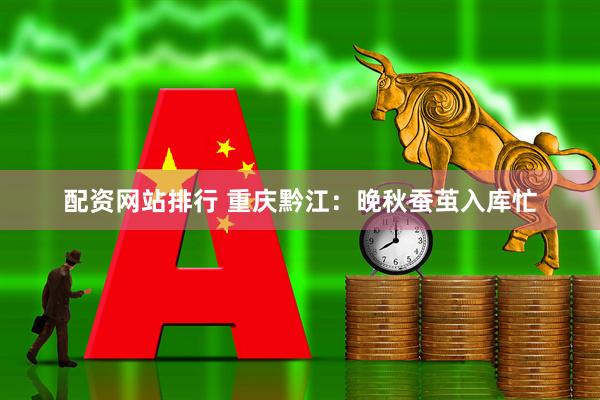 配资网站排行 重庆黔江：晚秋蚕茧入库忙